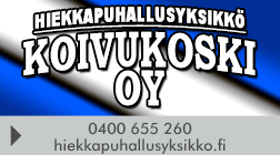 Hiekkapuhallusyksikkö Koivukoski Oy logo